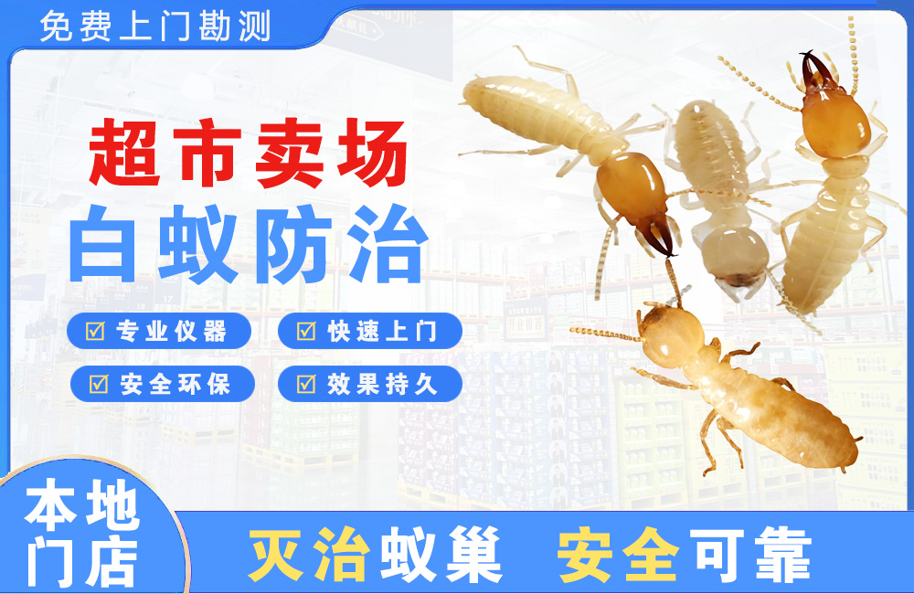 崇左超市卖场白蚁防治