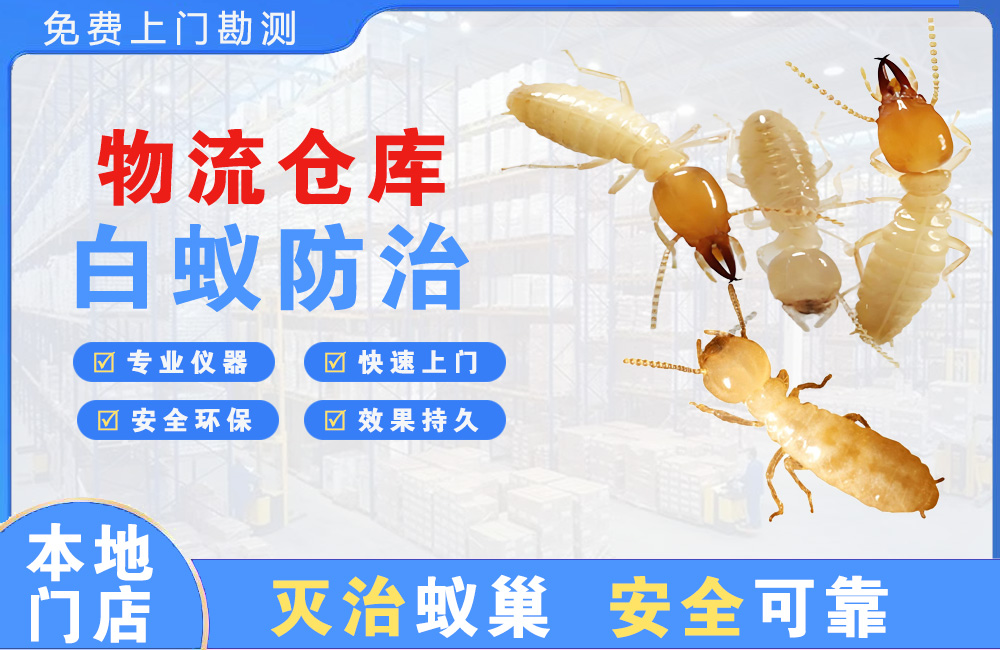 崇左物流仓库白蚁防治