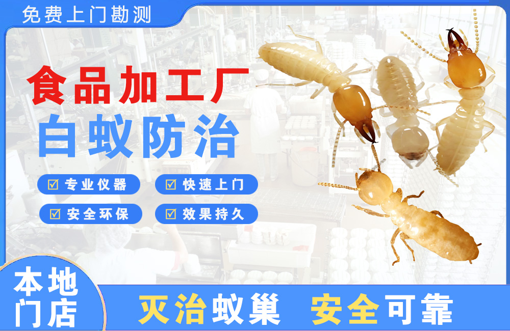 崇左食品加工厂白蚁防治